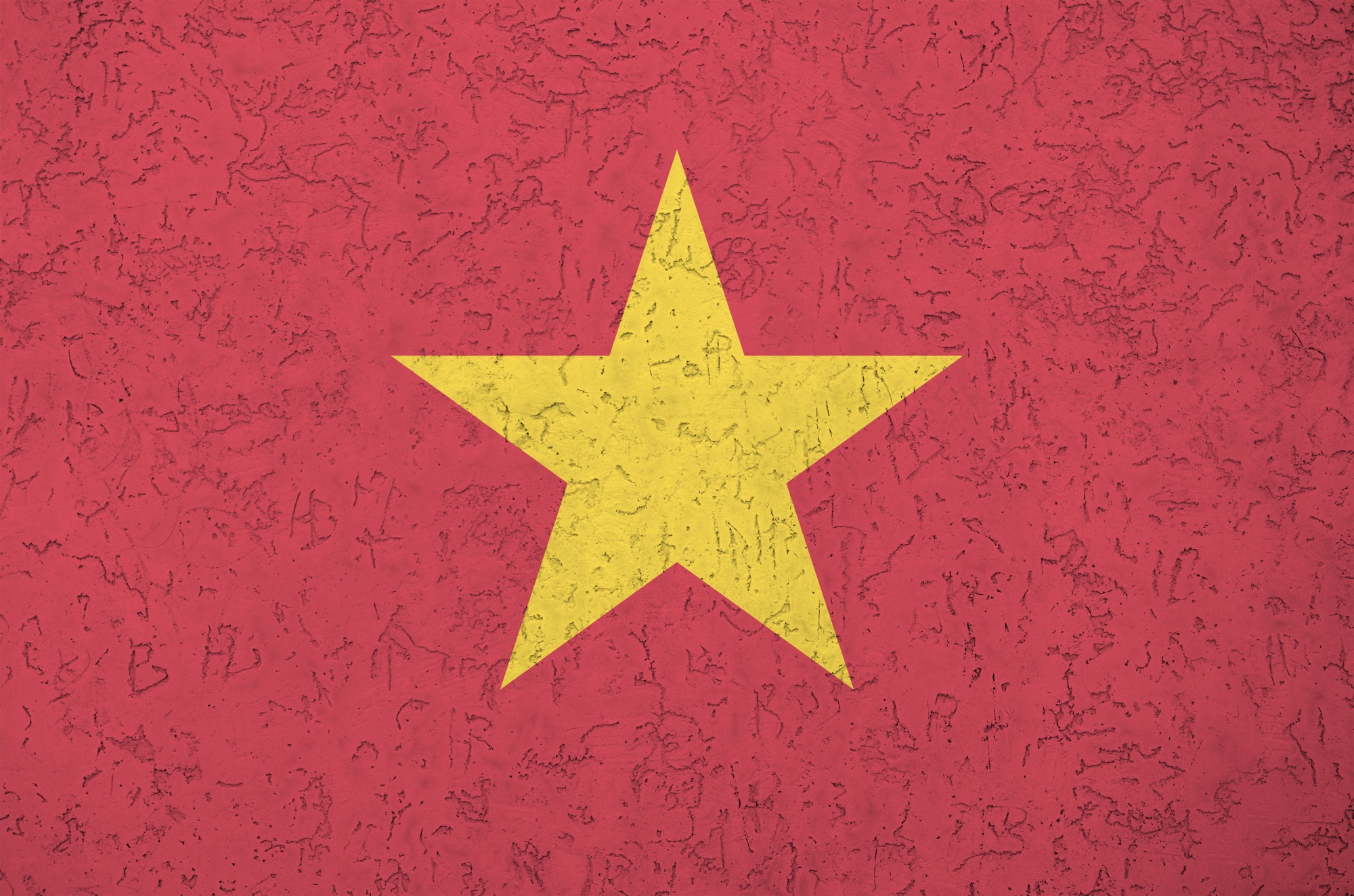 Vietnam flag depicted in bright paint colors on old relief plastering wall close up